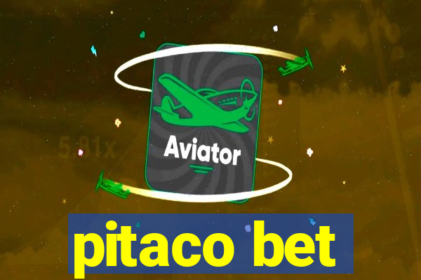 pitaco bet